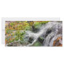 Waters Path Custom Rack Card