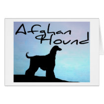 Waterside Afghan Hound