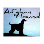 Waterside Afghan Hound t-shirts
