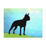 Waterside Boston Terrier Post Cards