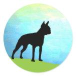 Waterside Boston Terrier