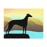 Waterside Greyhound Dog Landscape postcards
