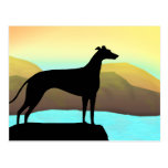 Waterside Greyhound Dog Landscape Postcards