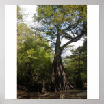 wattensawgiant posters