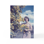 Wattle in Canberra - retro Cards