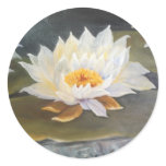 WATWELILLIES 50X70 ROUND STICKERS