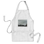 Wave Breaking On Oceans Beach aprons
