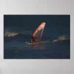 Wave sailor at Punta San Carlos posters