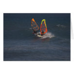 Wave sailors at Punta San Carlos cards