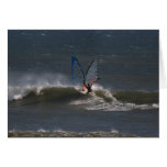 Wave sailors form a butterfly cards