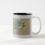 Wave-Washed Shell Cape Cod Items Mug