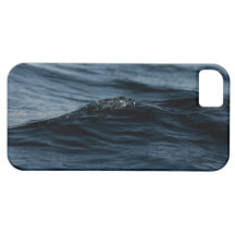 Wavelet iPhone 5 Covers