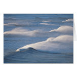 Waves Greeting Card