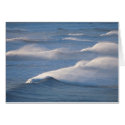 Waves cards