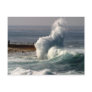 Waves Crashing Seals La Jolla Postcard