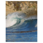 waves_near_big_sur flyers