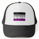 Waving asexual pride flag