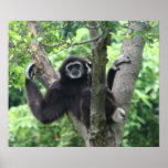 Waving monkey