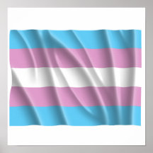Waving transexual pride flag poster
