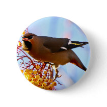 Waxwing Button Badge