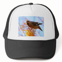 Waxwing Hat