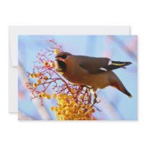 Waxwing Invitation