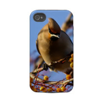 Waxwing iPhon 4 Case-Mate Tough Tough Iphone 4 Case