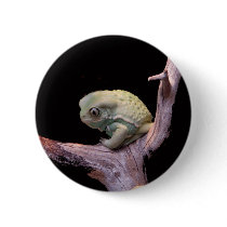 Waxy Monkey Frog Pins