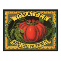 Wayne Co Tomatoes Vintage Fruit Crate Label Art Post Card