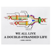We All Live A Double-Stranded Life (DNA Humour)