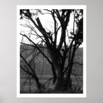 We are all limbs of the same tree poster