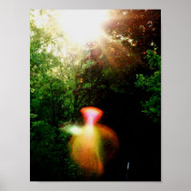 We are Divine Light...Here to assist you! Poster