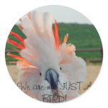 We are not JUST A BIRD! Sticker