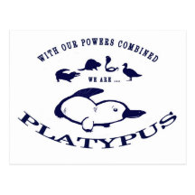 We are Platypus Post Card