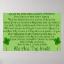 We Are the Irish! Poster Print