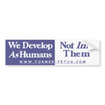 We Develop Bumper