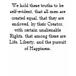 WE HOLD THESE TRUTHS t-shirts