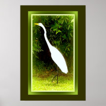 We like cranes with extended necks. poster
