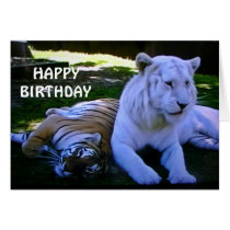 WE MAKE A GREAT PAIR BIRTHDAY GREETING CARDS