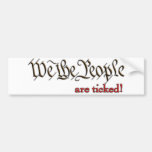 We the People... are ticked! Bumper Stickers