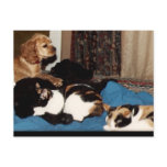 we were family postcards