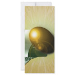 Wealth rack cards