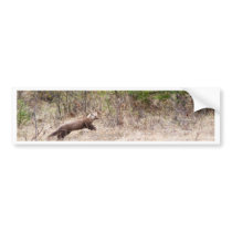 Weasel Bumper Stickers