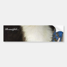 Weasel, Short-tailed Bumper Stickers