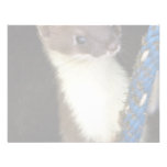 Weasel, Short-tailed Invitations