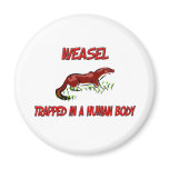 Weasel trapped in a human body fridge magnet