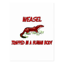 Weasel trapped in a human body post cards