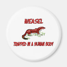 Weasel trapped in a human body refrigerator magnet