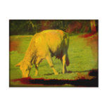 Weathered Pasture postcards