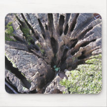 Weathered Tree Stump Mousepads